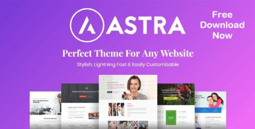 Astra Theme 4.11.8 + Portfolio 1.13.2 – Most Popular WordPress Theme